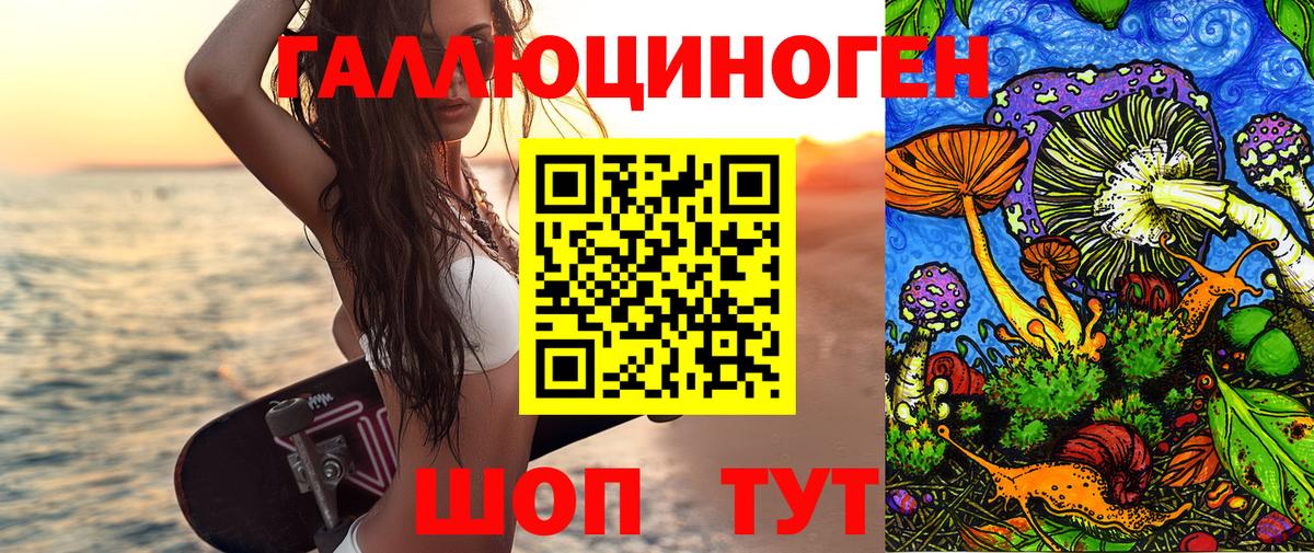 Галлюциногенные грибы Psilocybe Клин