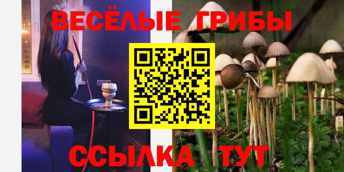 Клин  Псилоцибиновые грибы Psilocybine cubensis  закладки  Псилоцибиновые грибы Magic Shrooms  Вход с VPN 